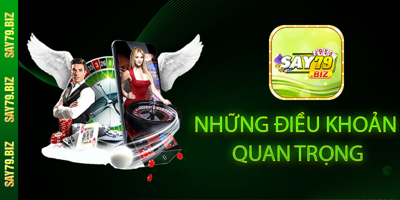 Những Điều Khoản Say79 Quan Trọng Cần Lưu Ý